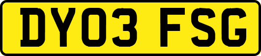 DY03FSG