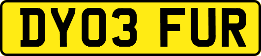 DY03FUR