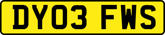 DY03FWS