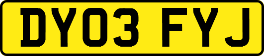 DY03FYJ