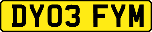 DY03FYM