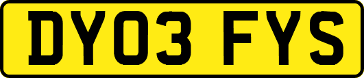 DY03FYS