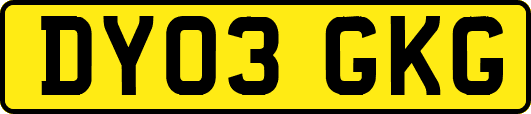DY03GKG
