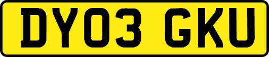 DY03GKU