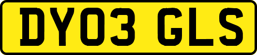 DY03GLS