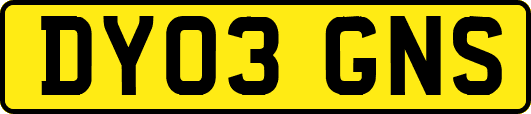 DY03GNS