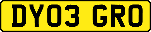 DY03GRO