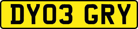DY03GRY
