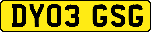 DY03GSG