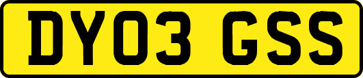 DY03GSS