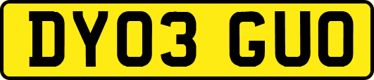 DY03GUO