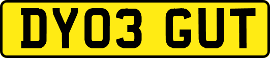 DY03GUT