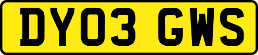 DY03GWS