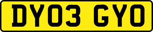 DY03GYO
