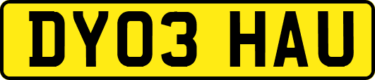 DY03HAU
