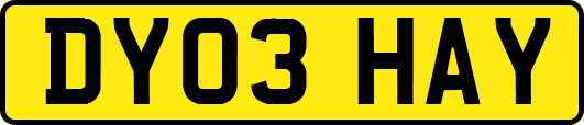 DY03HAY