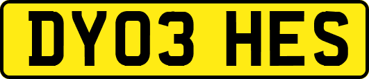 DY03HES
