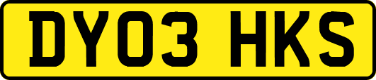 DY03HKS