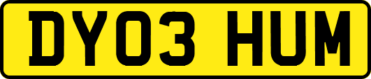 DY03HUM