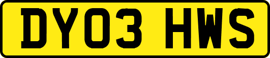 DY03HWS