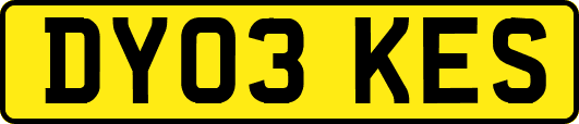 DY03KES