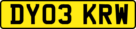 DY03KRW