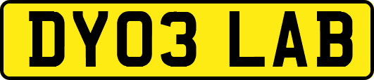 DY03LAB
