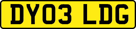 DY03LDG