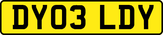 DY03LDY
