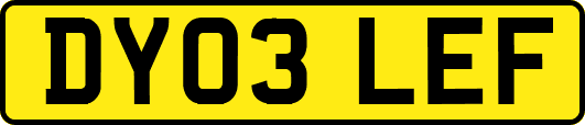 DY03LEF