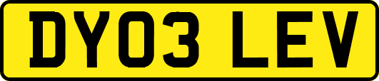 DY03LEV