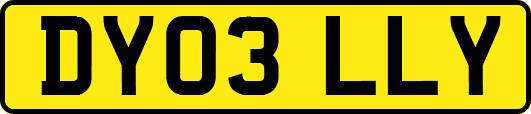 DY03LLY