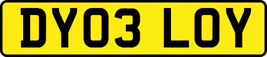 DY03LOY