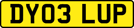 DY03LUP