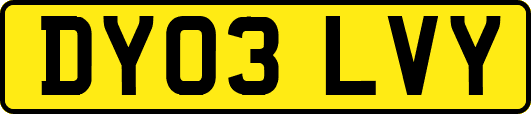 DY03LVY