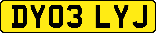 DY03LYJ
