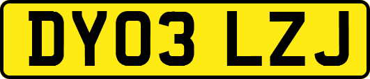 DY03LZJ
