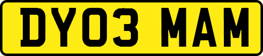 DY03MAM