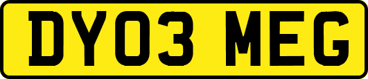 DY03MEG