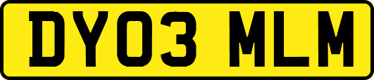 DY03MLM