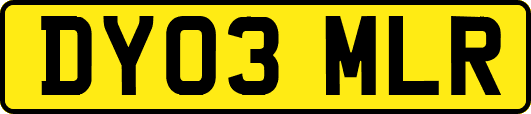 DY03MLR