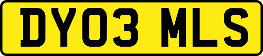 DY03MLS
