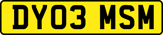 DY03MSM