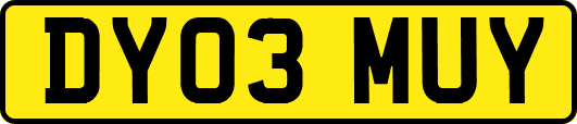 DY03MUY