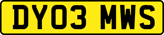 DY03MWS