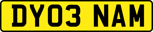 DY03NAM