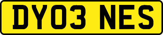 DY03NES