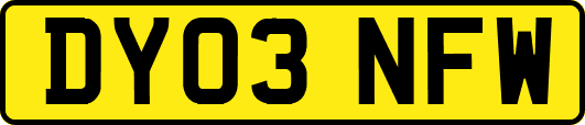 DY03NFW