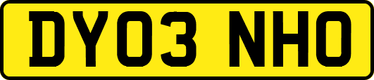 DY03NHO