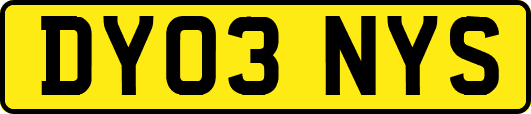 DY03NYS
